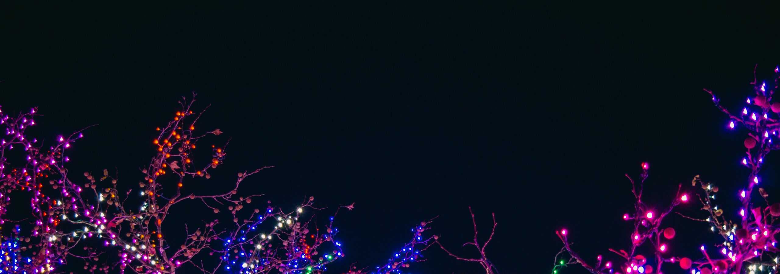 Residential Christmas Light Installation Five Star Holiday Décor