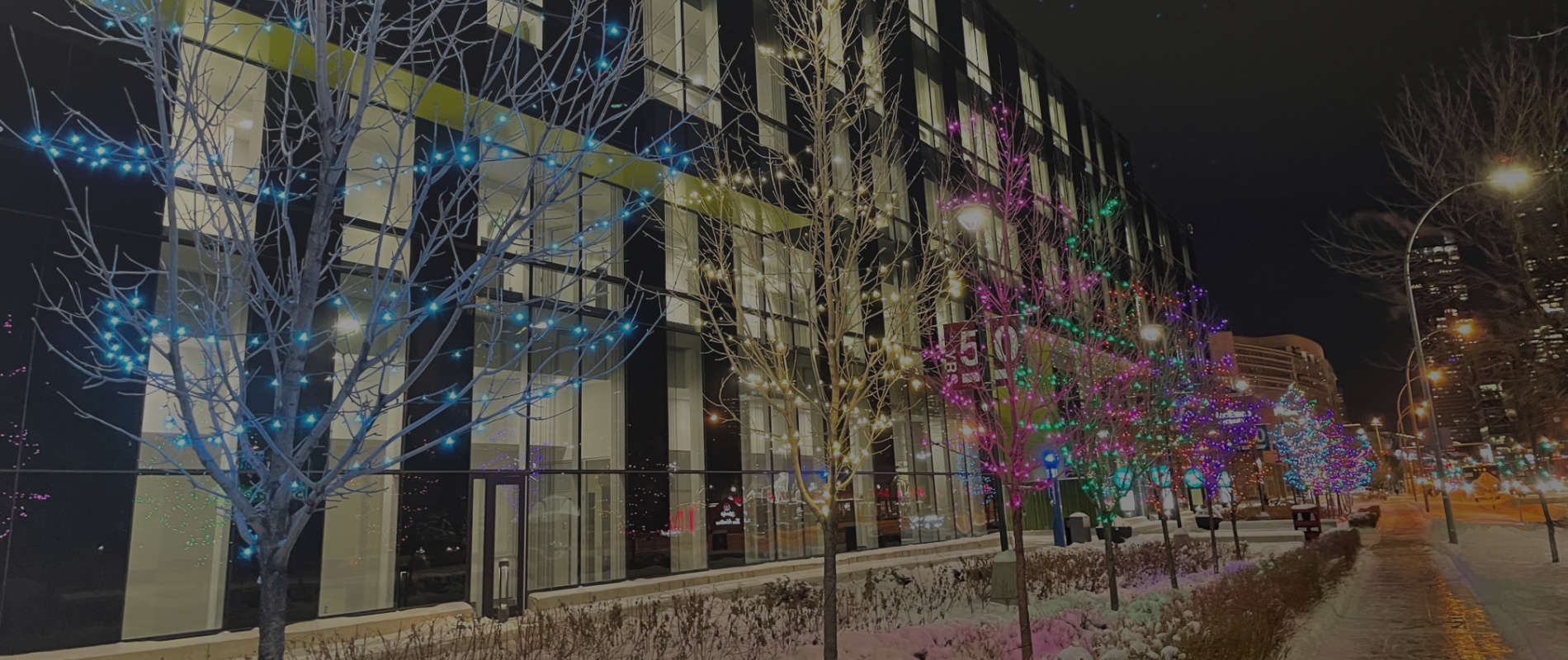 Colour Selection Five Star Holiday Décor