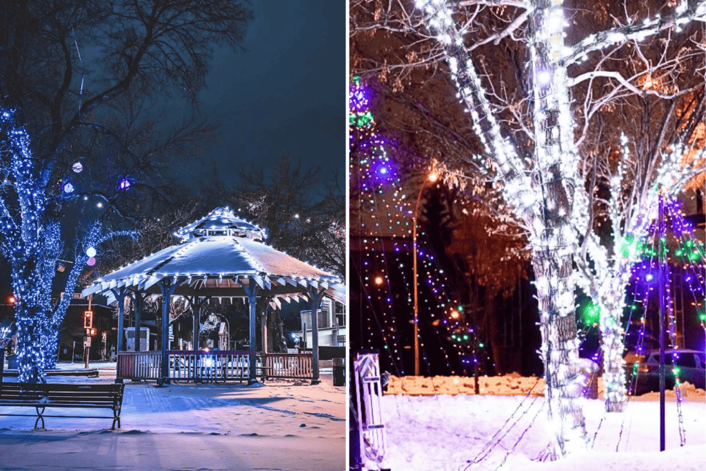 Christmas lights in Edmonton