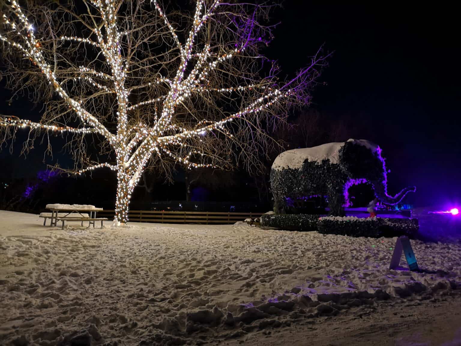 Festival Lighting Five Star Holiday Décor