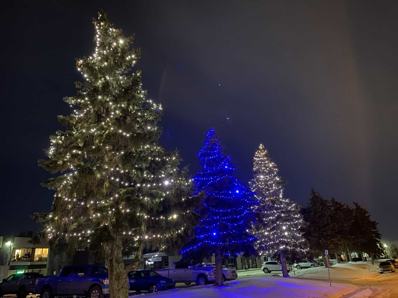 Christmas Light Installation Edmonton & Calgary