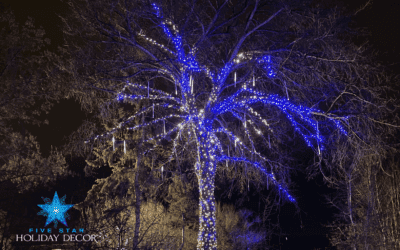 tree wrapped in Christmas lights