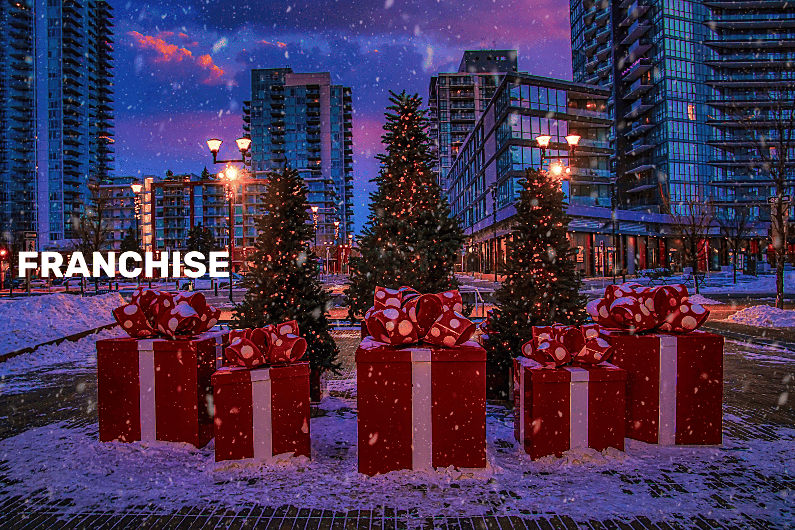 Five Star Holiday Decor’s Second Franchise Location in Calgary is Now Open!