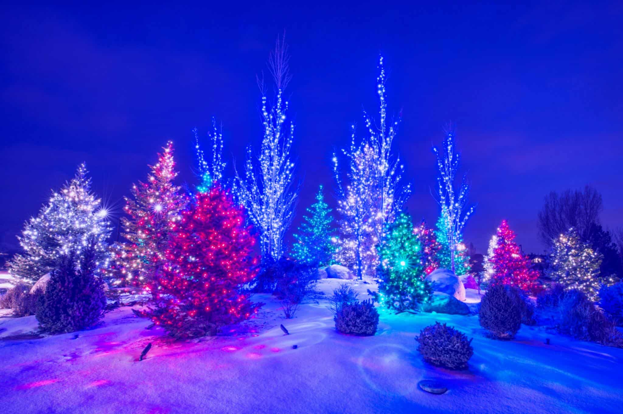 LED lights in a Christmas themed nightscape