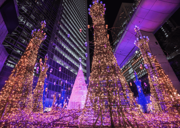Christmas Lights Christmas Lights