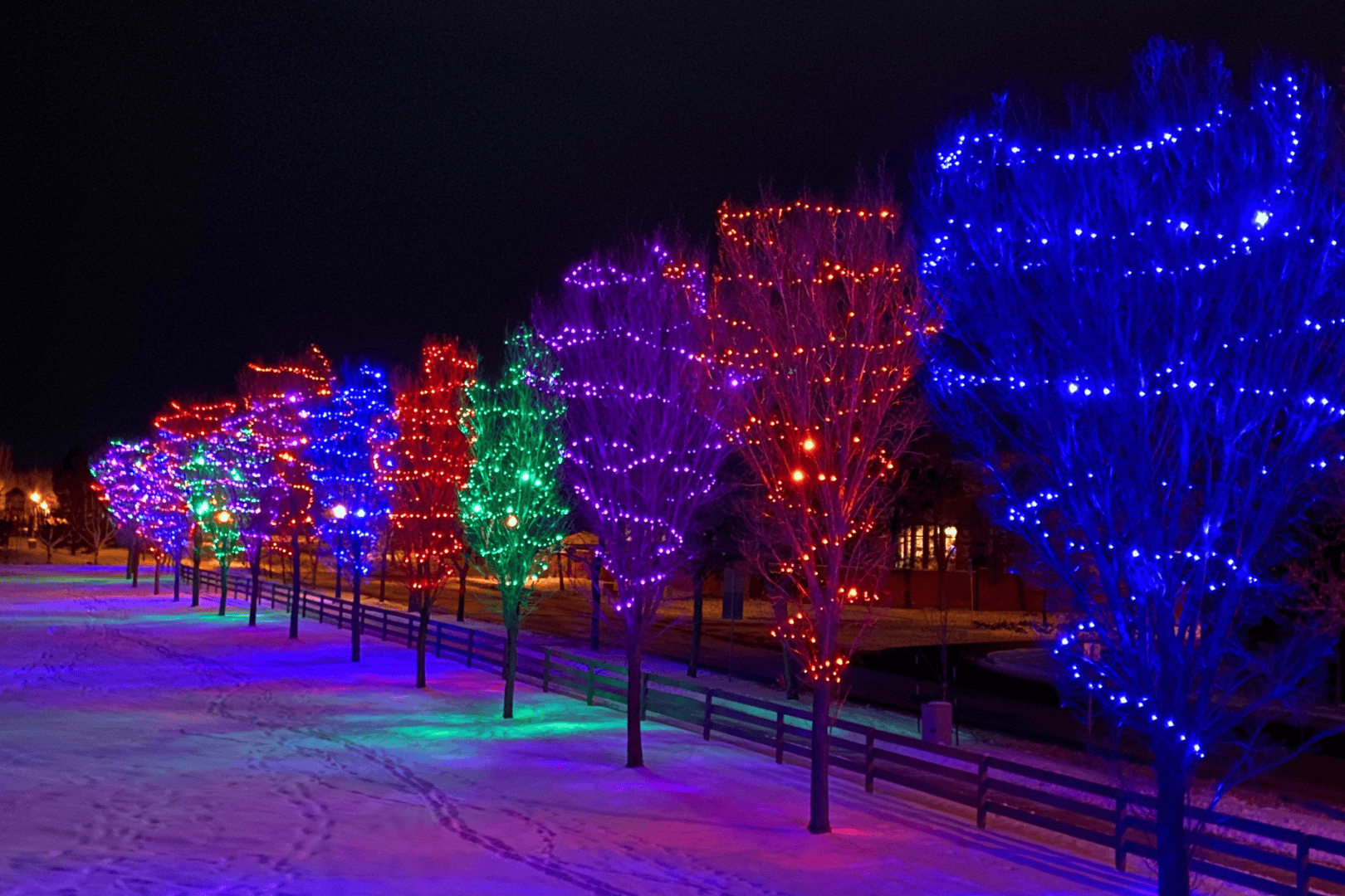 Holiday Lighting