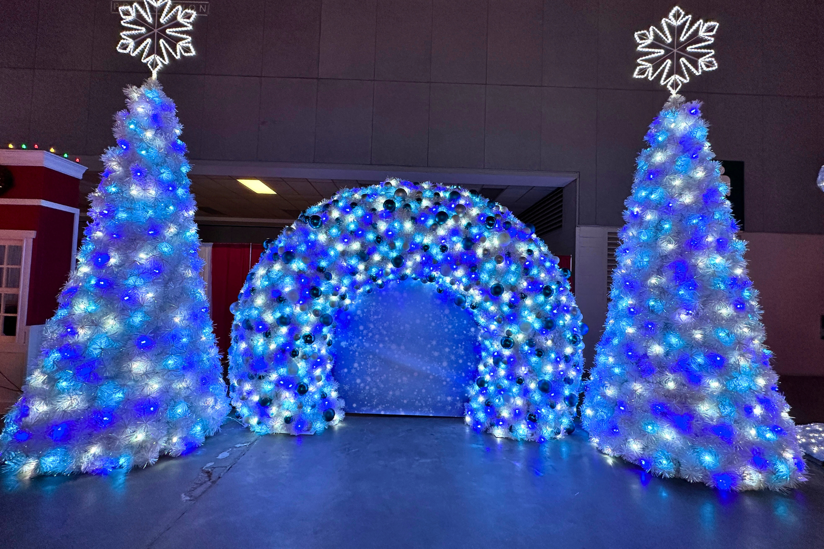 Christmas Holiday Lighting