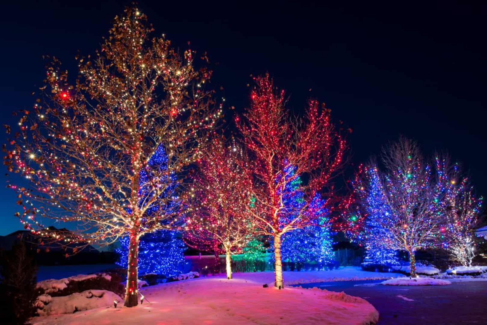 Christmas Holiday Lighting