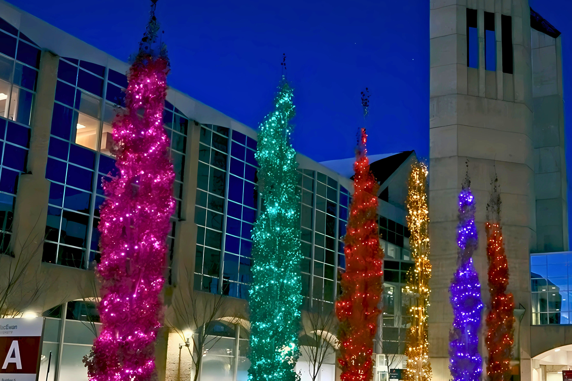 Tree Lighting