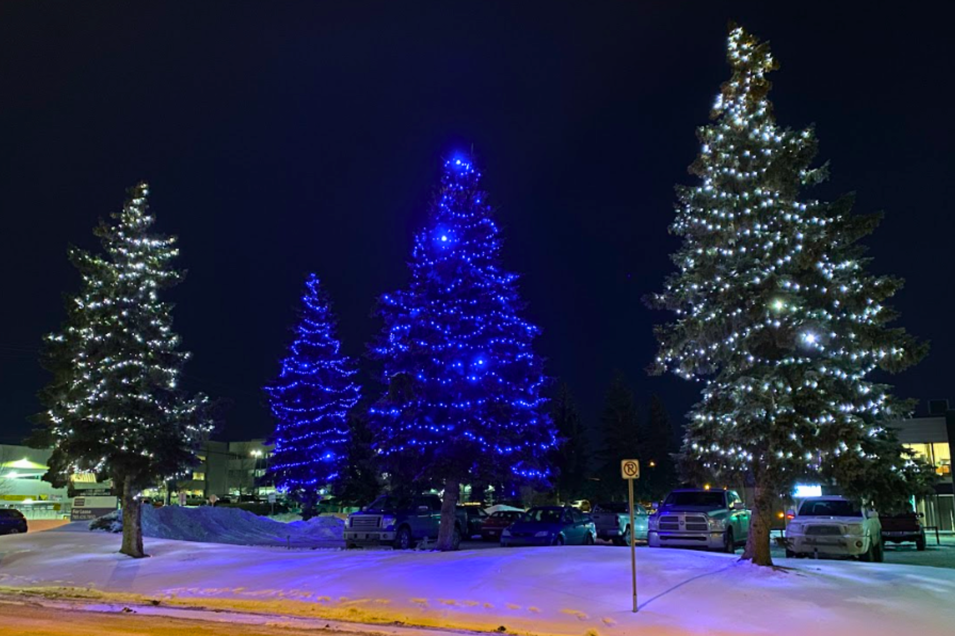 Holiday Lighting