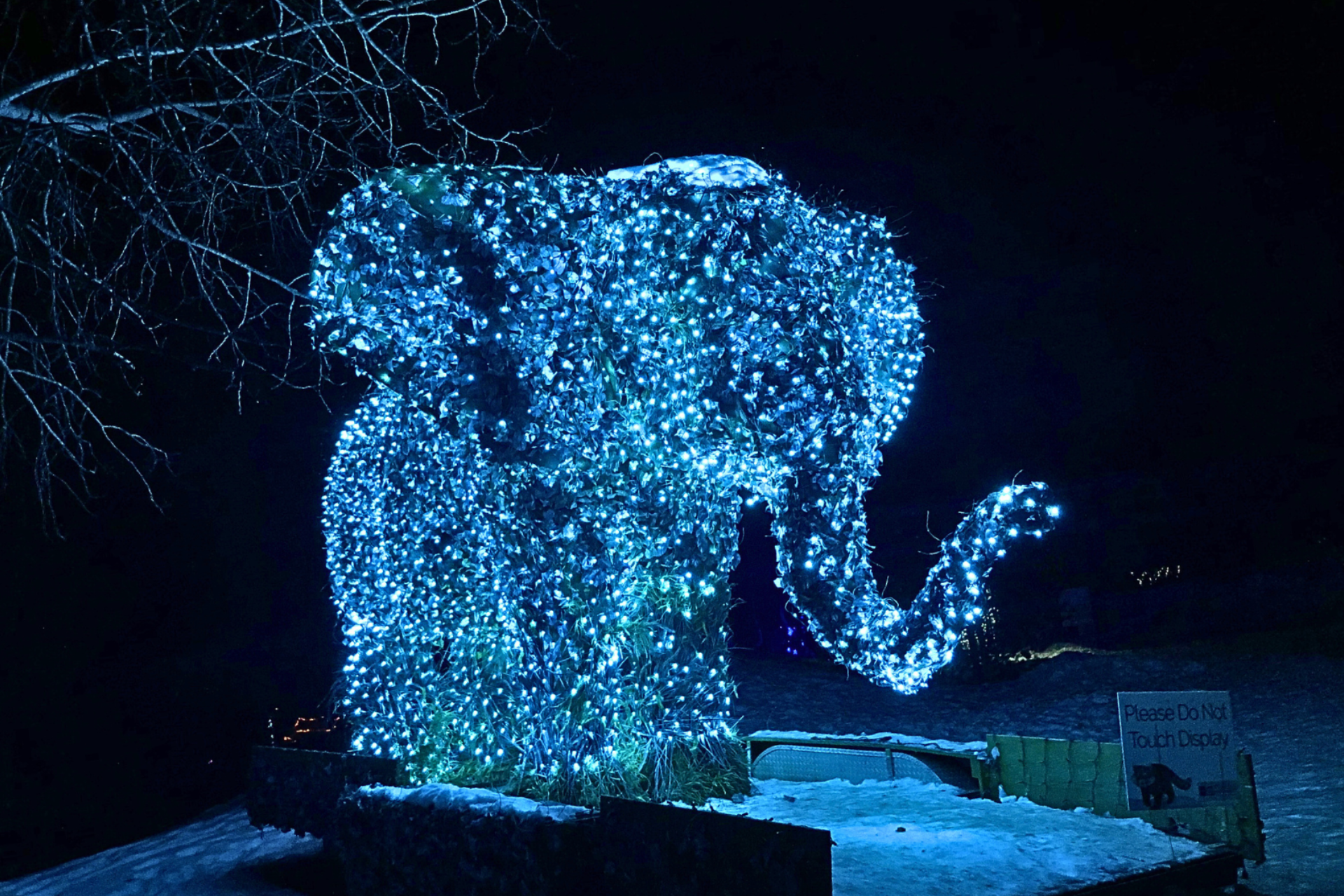 Holiday Decor Lights
