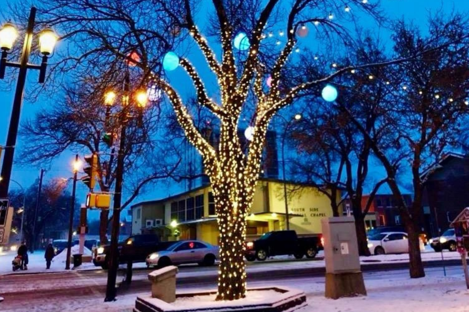Tree Lighting
