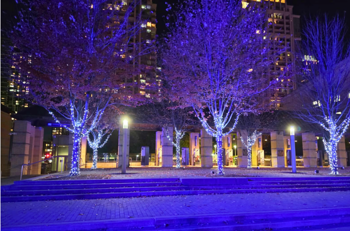 City of Mississauga Holiday Lighting Installation – 30-Foot Tree, 100 ...